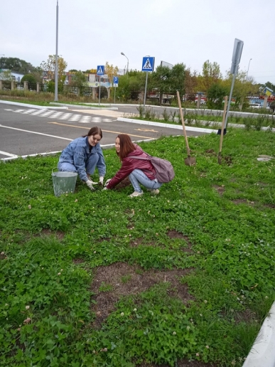 03.jpg