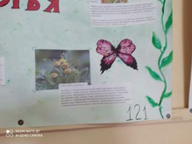 07.jpg